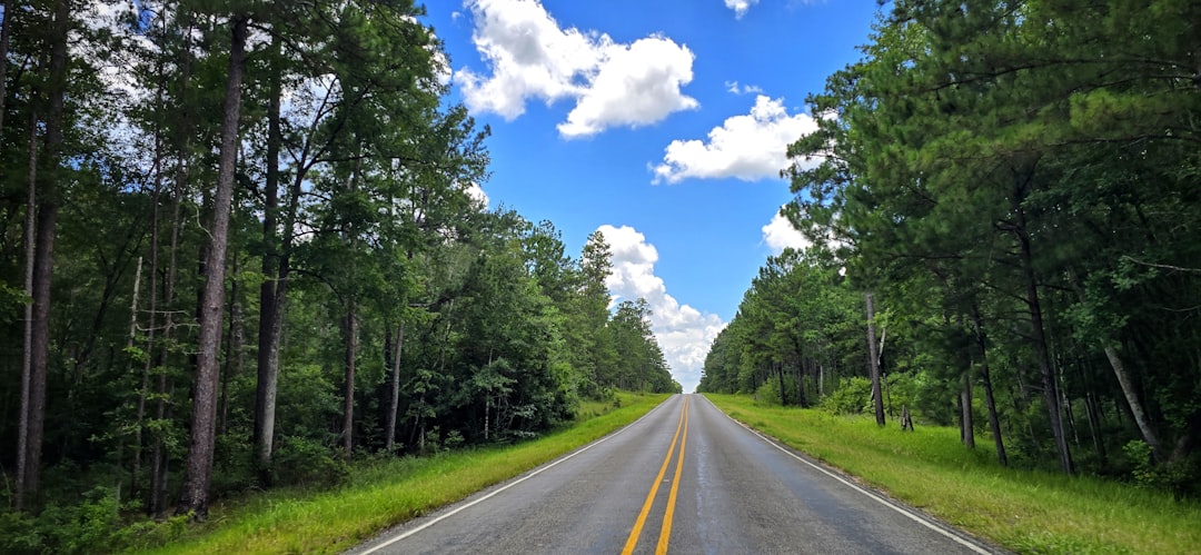 Embracing Nature: The Joys of Backpacking on a Budget