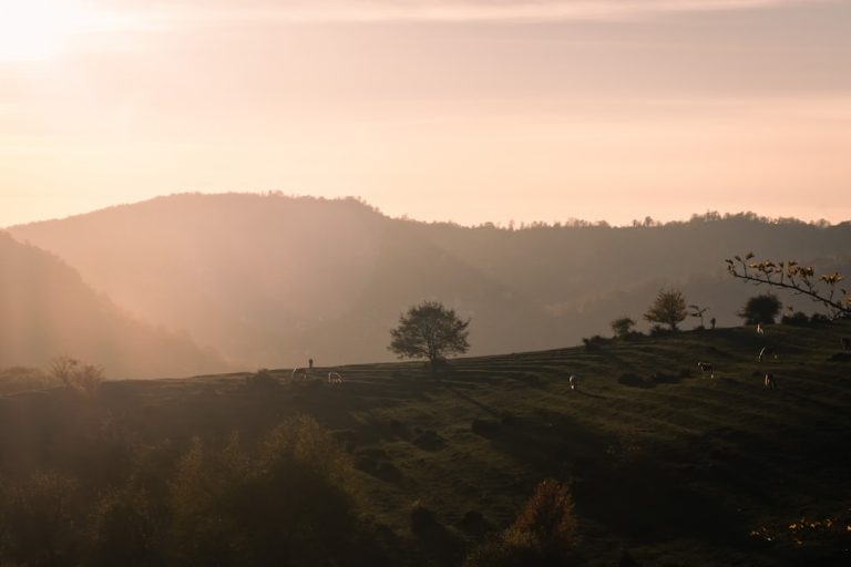 Embracing the Wild: Eco-Friendly Outdoor Travel Tips