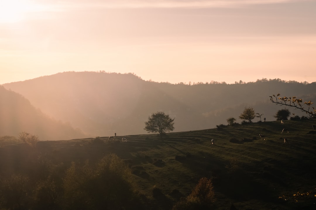 Embracing the Wild: Eco-Friendly Outdoor Travel Tips
